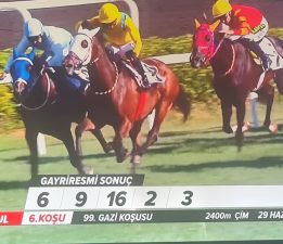 CUTHA KOŞTU ÇELİK 8. KEZ KAZANDI