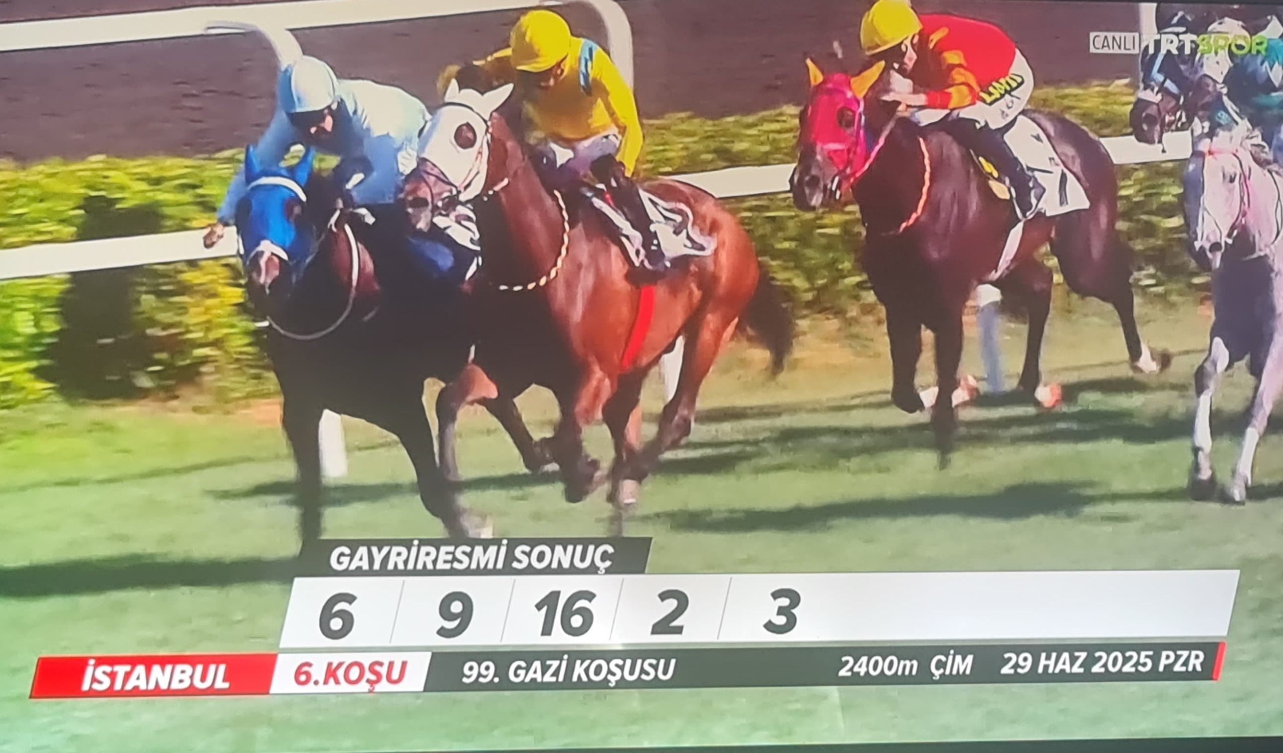 CUTHA KOŞTU ÇELİK 8. KEZ KAZANDI