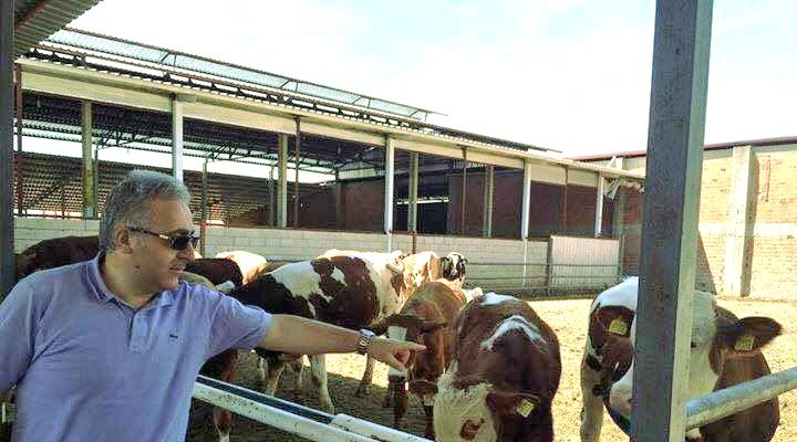 ŞAP ÜRETİCİYİ PERİŞAN ETTİ!