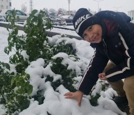 ERZURUM GÜNE KARLA UYANDI