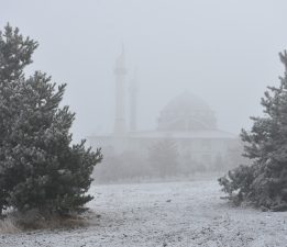 KAR DEĞİL KIRAĞI YAĞIYOR!