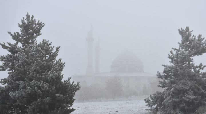 KAR DEĞİL KIRAĞI YAĞIYOR!