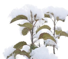 FOTO MUHABERİ BAKIRCI’NIN OBJEKTİFİNE TAKILAN KAR MANZARALARI
