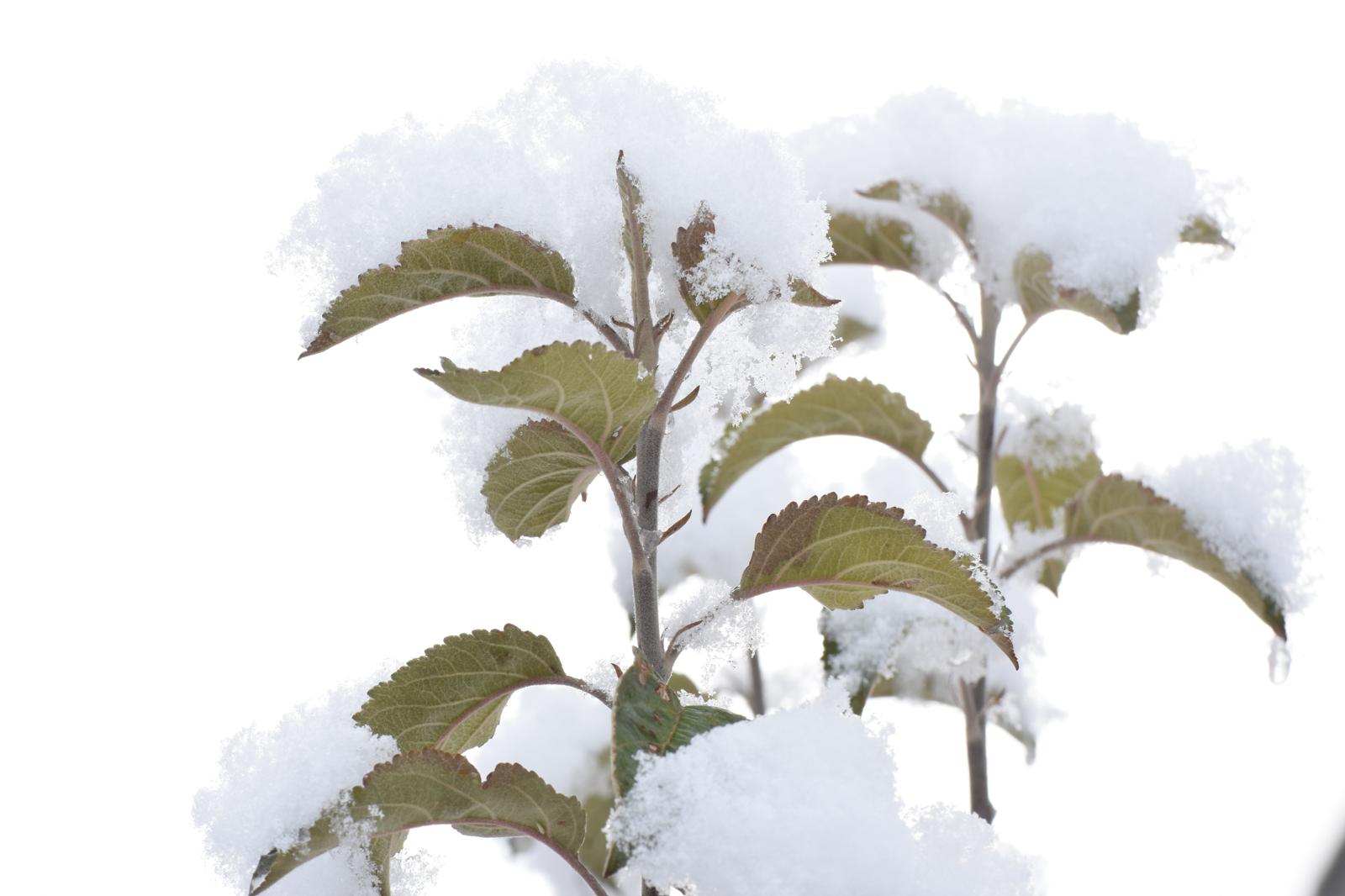 FOTO MUHABERİ BAKIRCI’NIN OBJEKTİFİNE TAKILAN KAR MANZARALARI