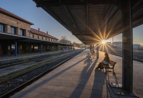 Günümüz Toplumunda Fotoğraf Sanatı