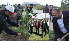 SPOR TESİSLERİNİN BAHÇELERİ MEYVE VERECEK