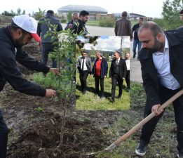 SPOR TESİSLERİNİN BAHÇELERİ MEYVE VERECEK